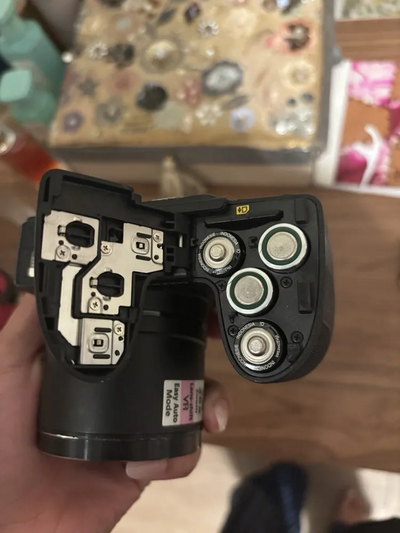 Nikon L320 Image