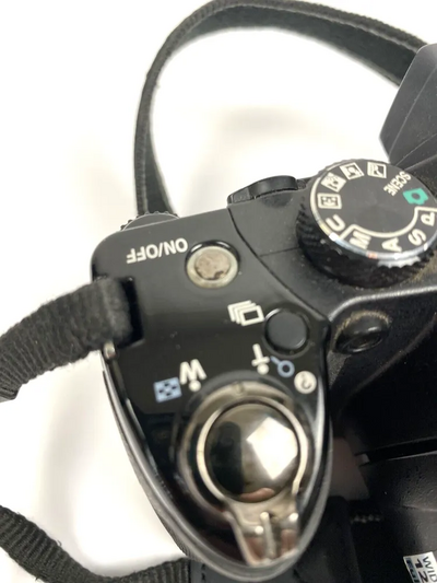 Nikon P50 Image