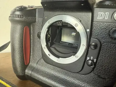 Nikon D1 Image