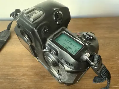 Nikon D1 Image
