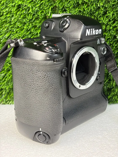 Nikon D1 Image