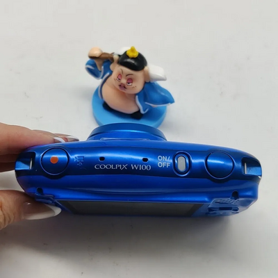 Nikon W100 Image