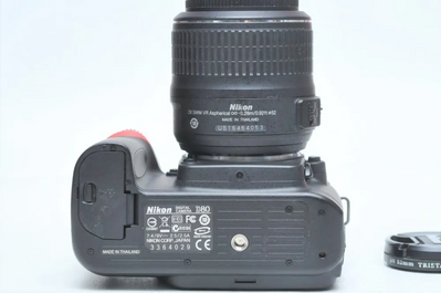 Nikon D80 Image