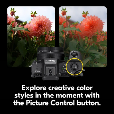 Nikon Z 1784 Image