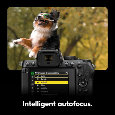 Nikon Z 1784 Image