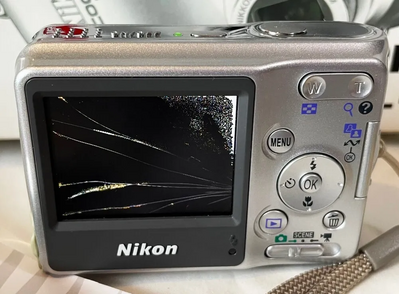Nikon L4 Image