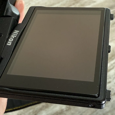 Nikon D90 Image