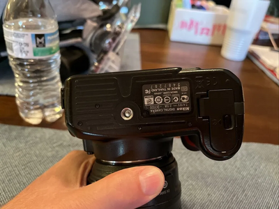 Nikon D3100 Image