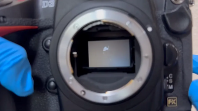 Nikon D3 Image