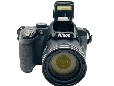 Nikon P520 Image