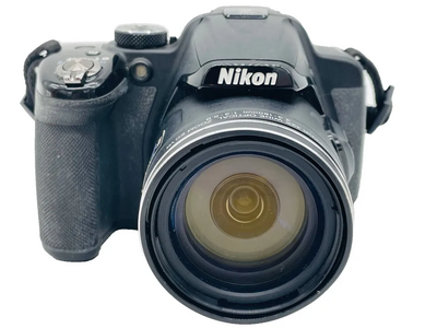 Nikon P520 Image