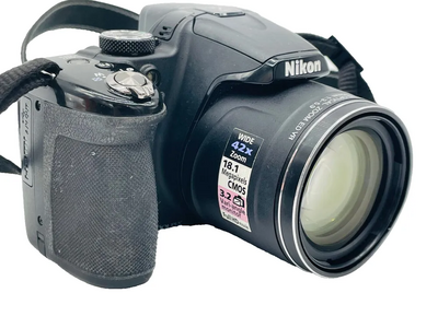 Nikon P520 Image