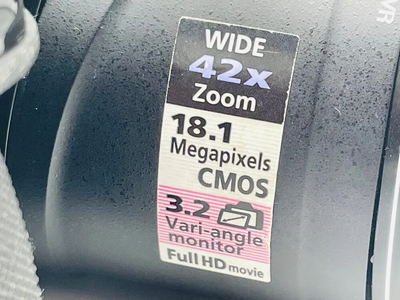 Nikon P520 Image