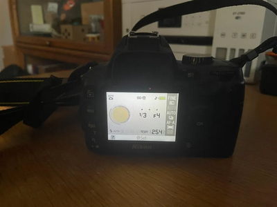 Nikon D60 Image
