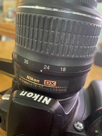 Nikon D60 Image