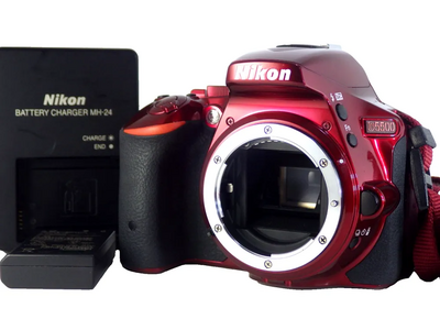 Nikon D5500 Image
