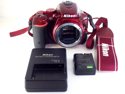 Nikon D5500 Image