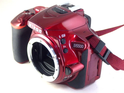 Nikon D5500 Image
