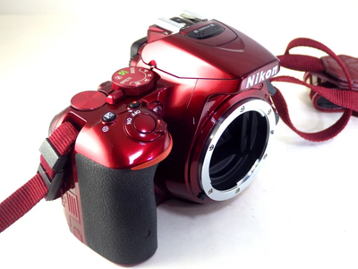 Nikon D5500 Image