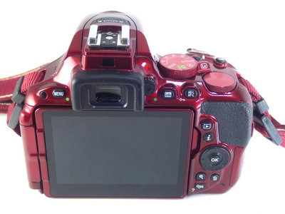 Nikon D5500 Image