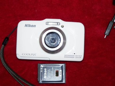 Nikon S31 Image