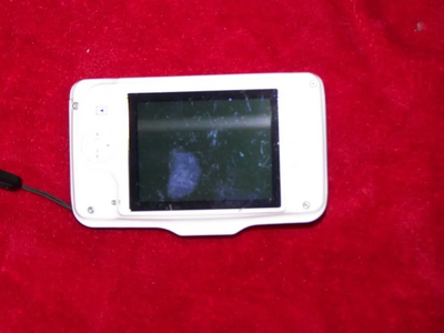 Nikon S31 Image