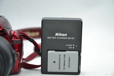 Nikon D3100 Image