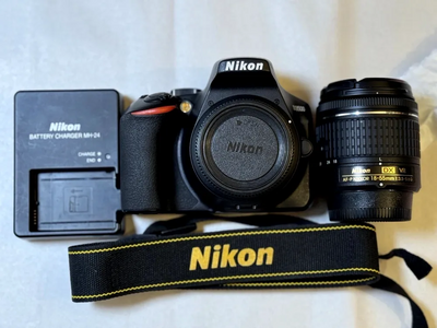Nikon D3500 W/ AF-P DX NIKKOR 18-55mm f/3.5-5.6G VR Image