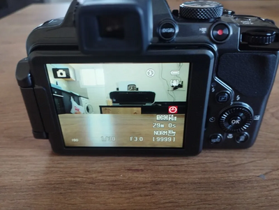 Nikon Coolpix p520 Image