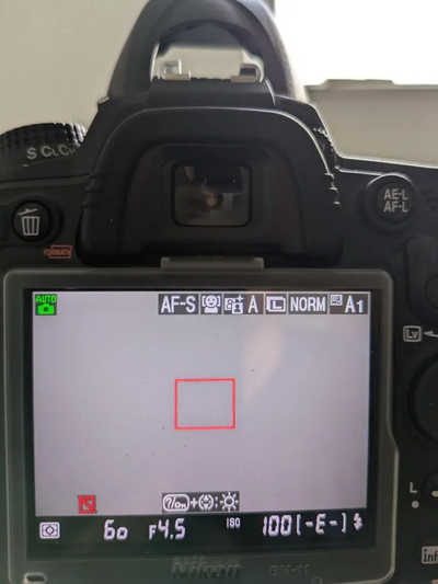 Nikon D7000 Image