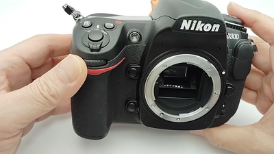 Nikon D300 Image