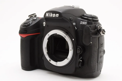 Nikon D300 Image