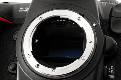 Nikon D3 Image