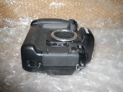 Nikon D1x Image
