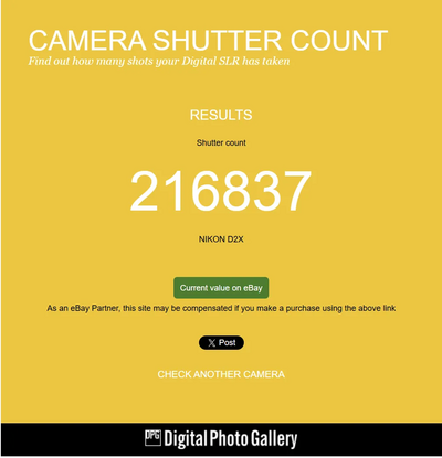 Nikon D1x Image
