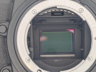 Nikon D1x Image