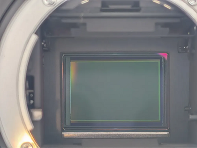 Nikon D1x Image
