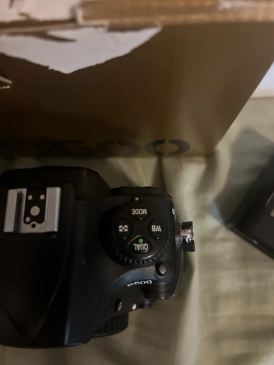 Nikon D500 Image