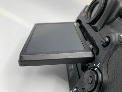 Nikon D500 Image