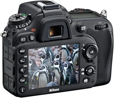 Nikon D7100 Image