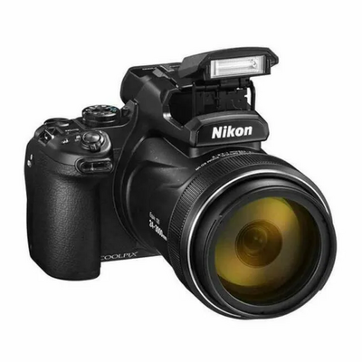 Nikon P1000 Image