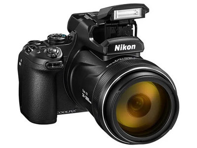 Nikon P1000 Image