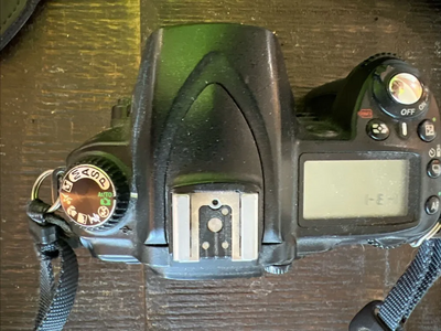 Nikon D90 Image