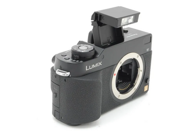 None Lumix DMC L1 Image