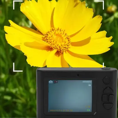 NutriEss 1c6adig3uz-12 Image