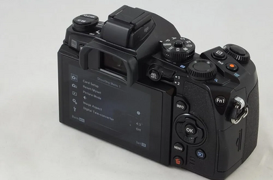 Olympus OM-D E-M1 Image