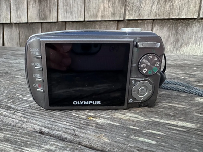 Olympus 800 Digital Image