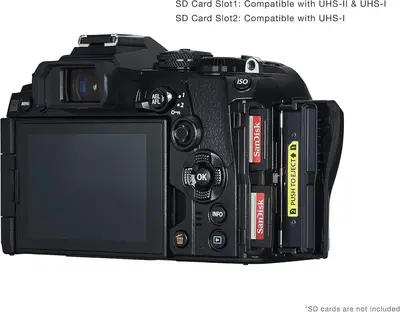 Olympus OM D E M1 Image