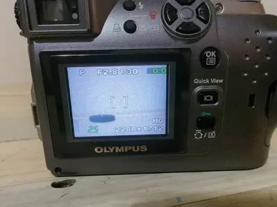 Olympus C-4000 Zoom Image