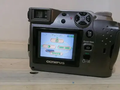 Olympus C-4000 Zoom Image